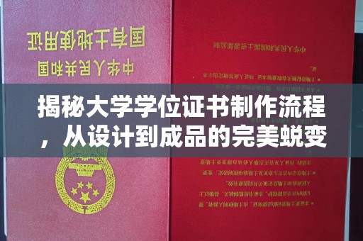 荥阳揭秘大学学位证书制作流程，从设计到成品的完美蜕变