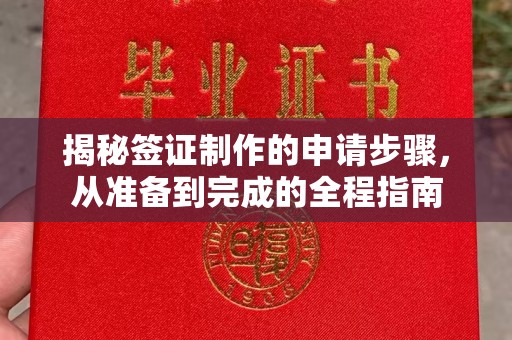 当阳揭秘签证制作的申请步骤，从准备到完成的全程指南